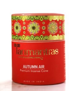 Autumn Air Natural Dhoop Cones (Pack of 40)